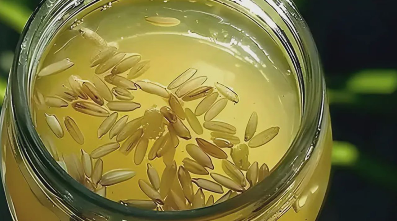 Parazol fotografija 2